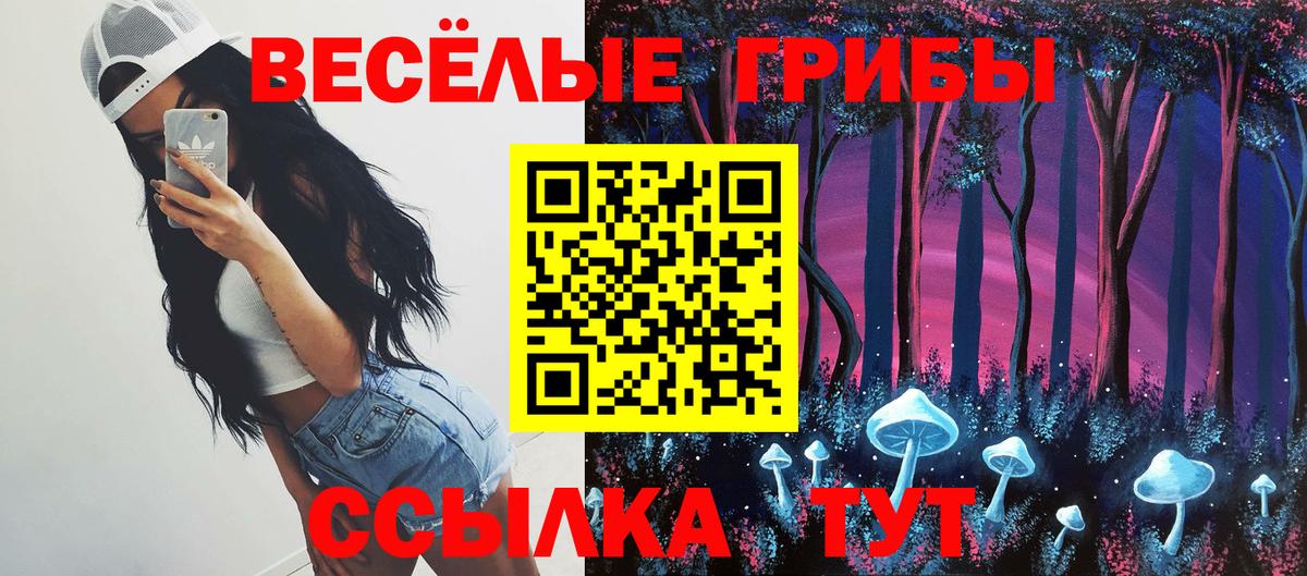 Галлюциногенные грибы мицелий  Вход с VPN  Галлюциногенные грибы Psilocybe  Киселёвск 